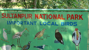 Sultanpur National Park