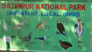 Sultanpur National Park
