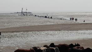 Nishkalank Mahadev Temple