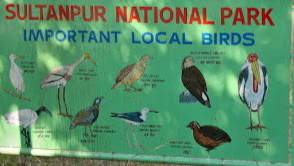 Sultanpur National Park
