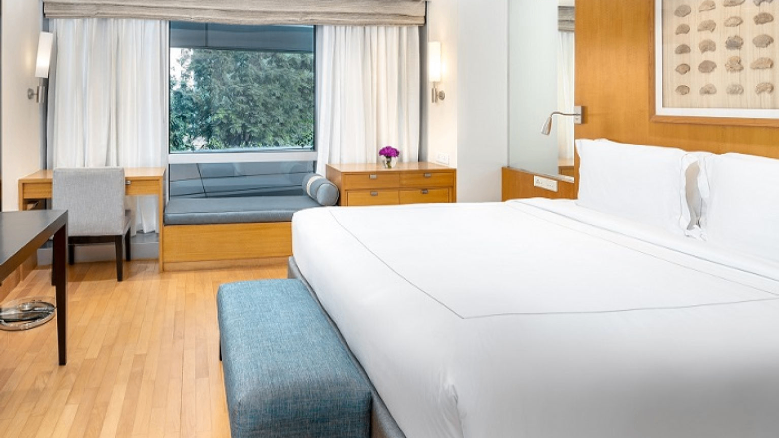 One Bedroom Apartment