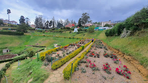 Government Rose Garden