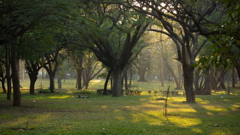 Shri Chāmarajendra (Cubbon) Park