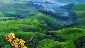 Munnar