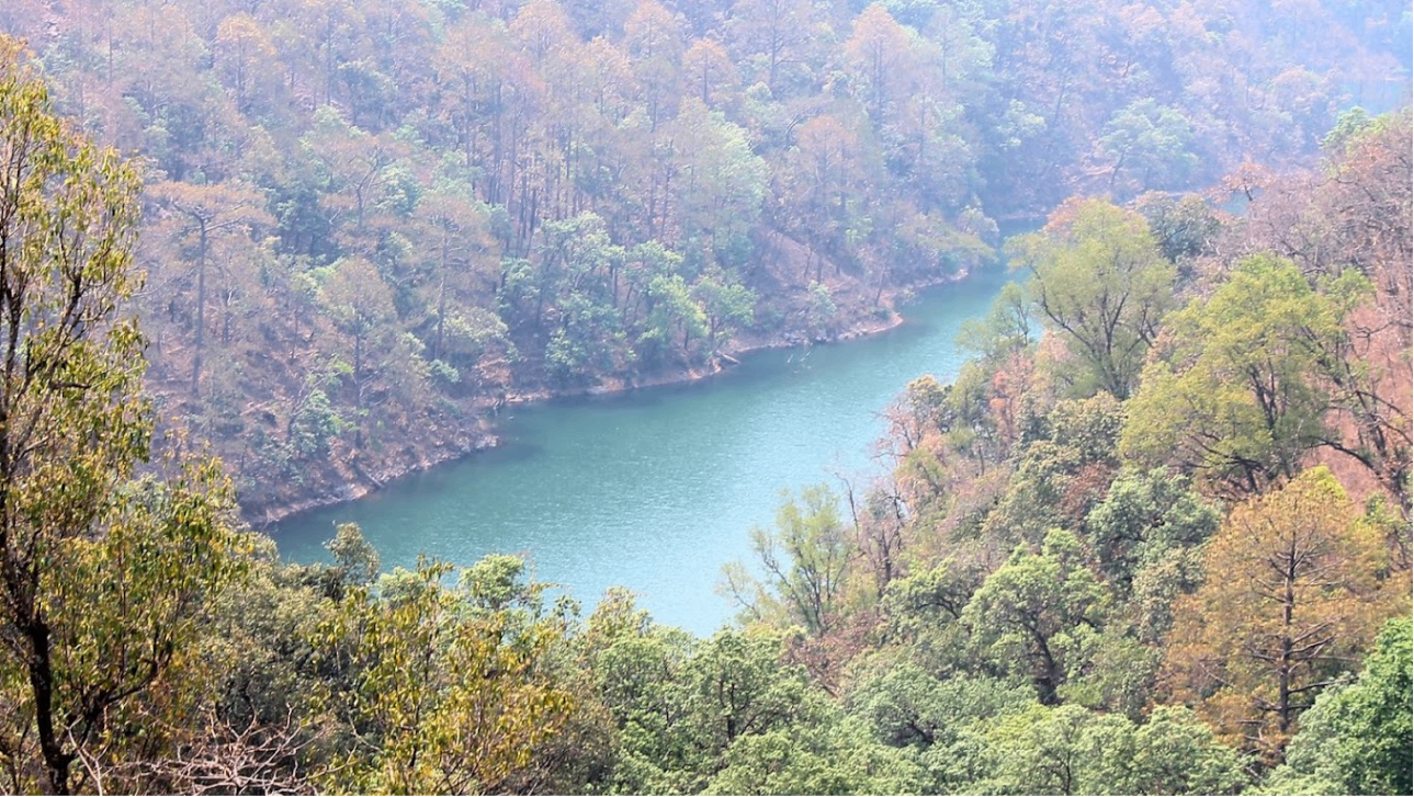 Butterfly Research Centre, Bhimtal