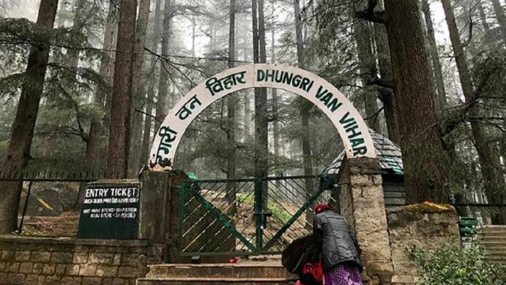 Van Vihar National Park Bhopal