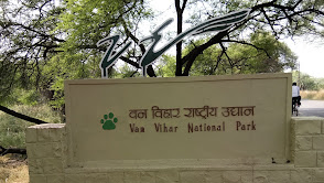 Van Vihar National Park Bhopal
