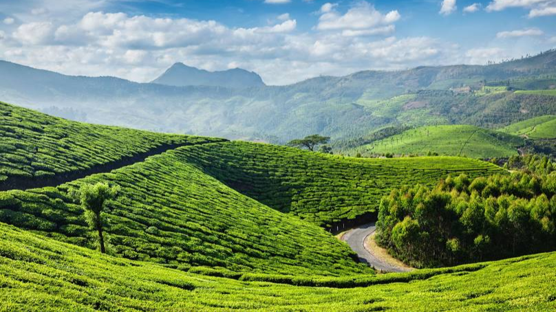 Munnar