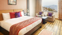 Valley View Premier Room With Balcony