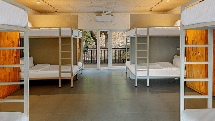 Mixed (Boys/ Girls) Bunk Bedzzz