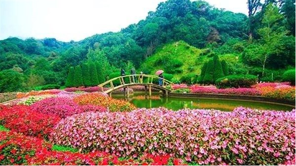 Government Rose Garden