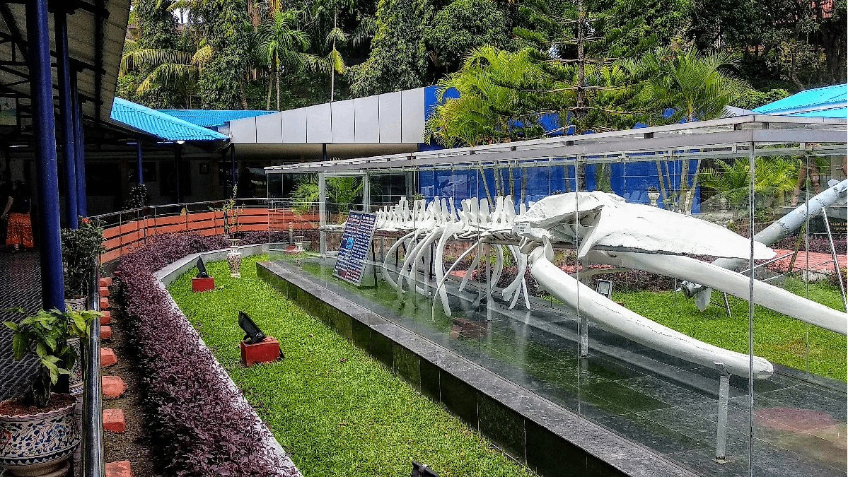 Naval Marine Museum Samudrika