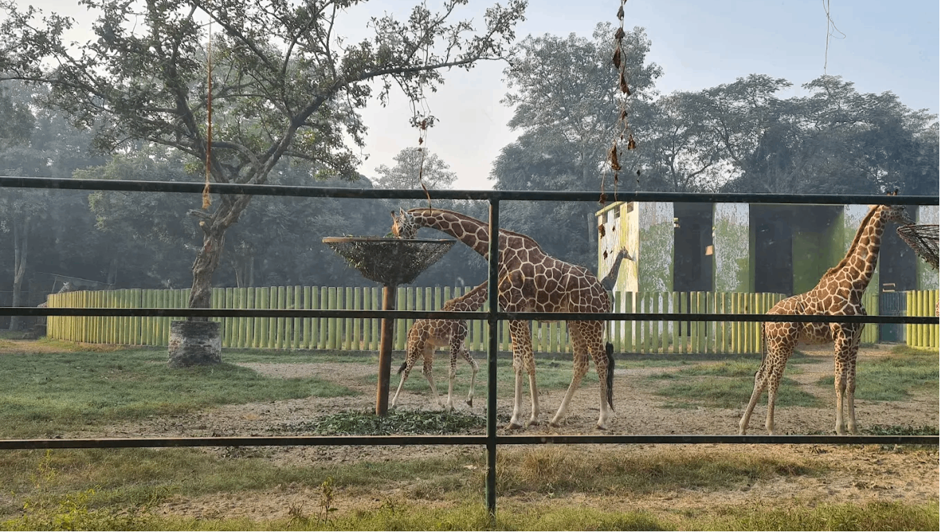 Sanjay Gandhi Biological Park