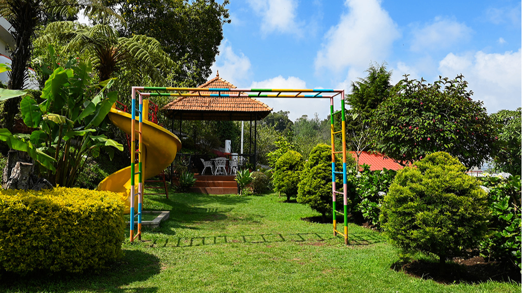 Play Area