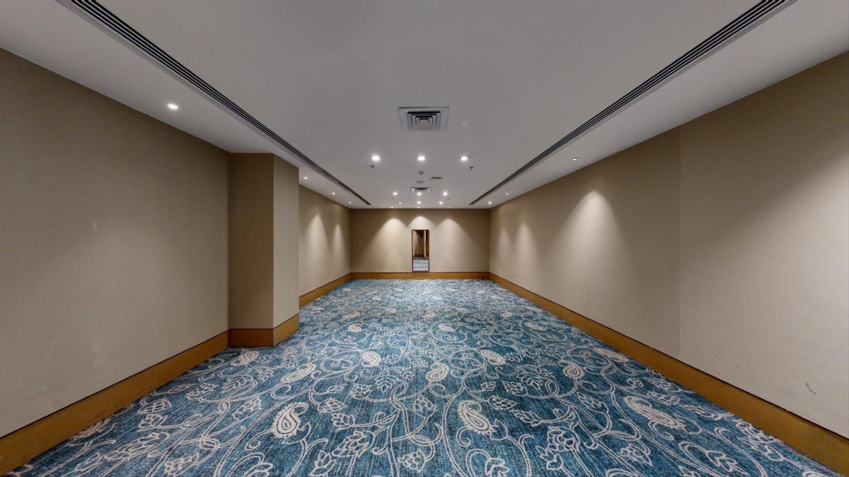 VIP Room 4