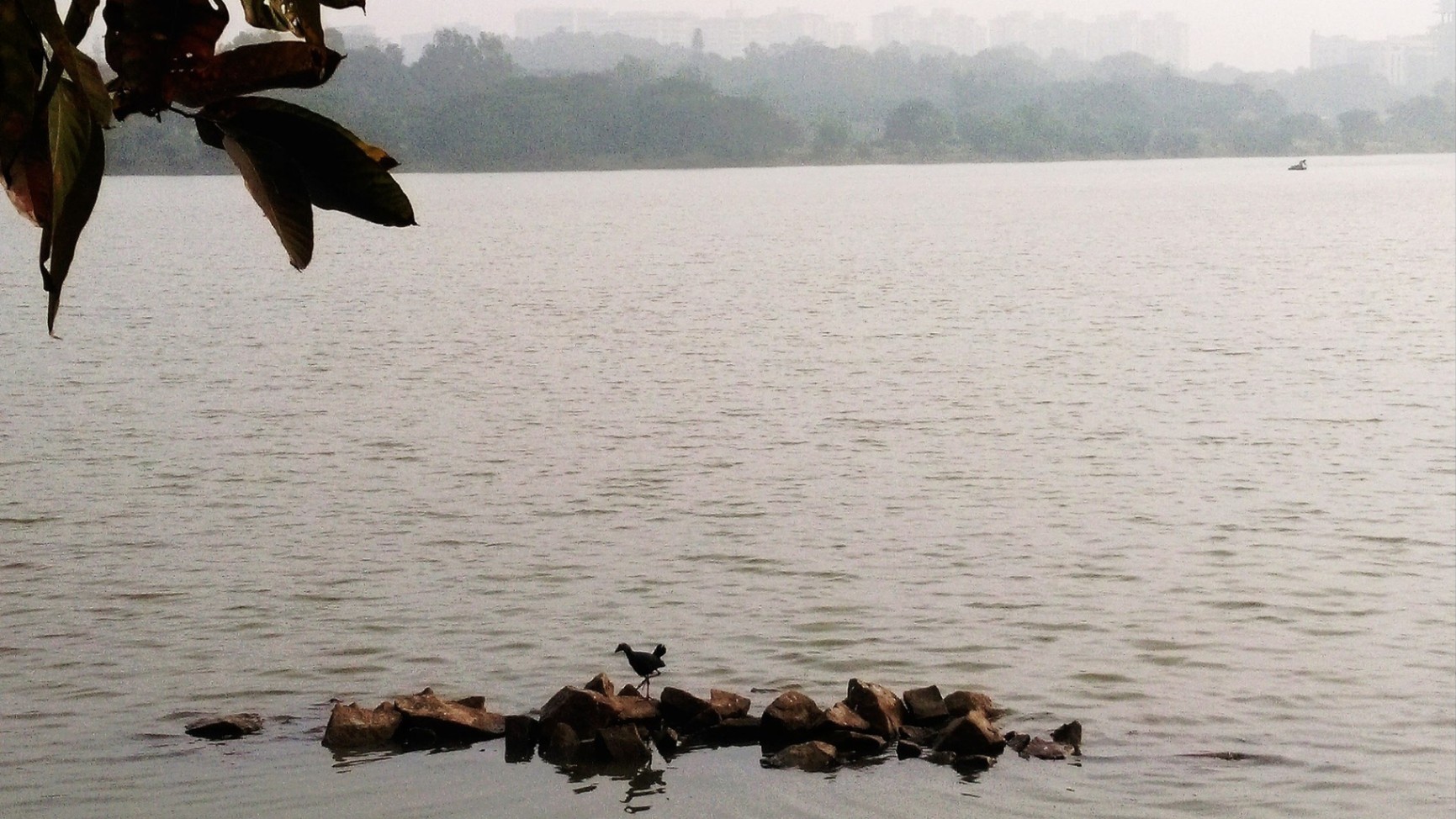 Hebbal Lake