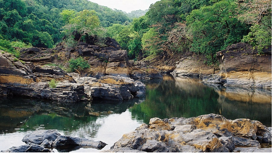 Cotigao Wildlife Sanctuary