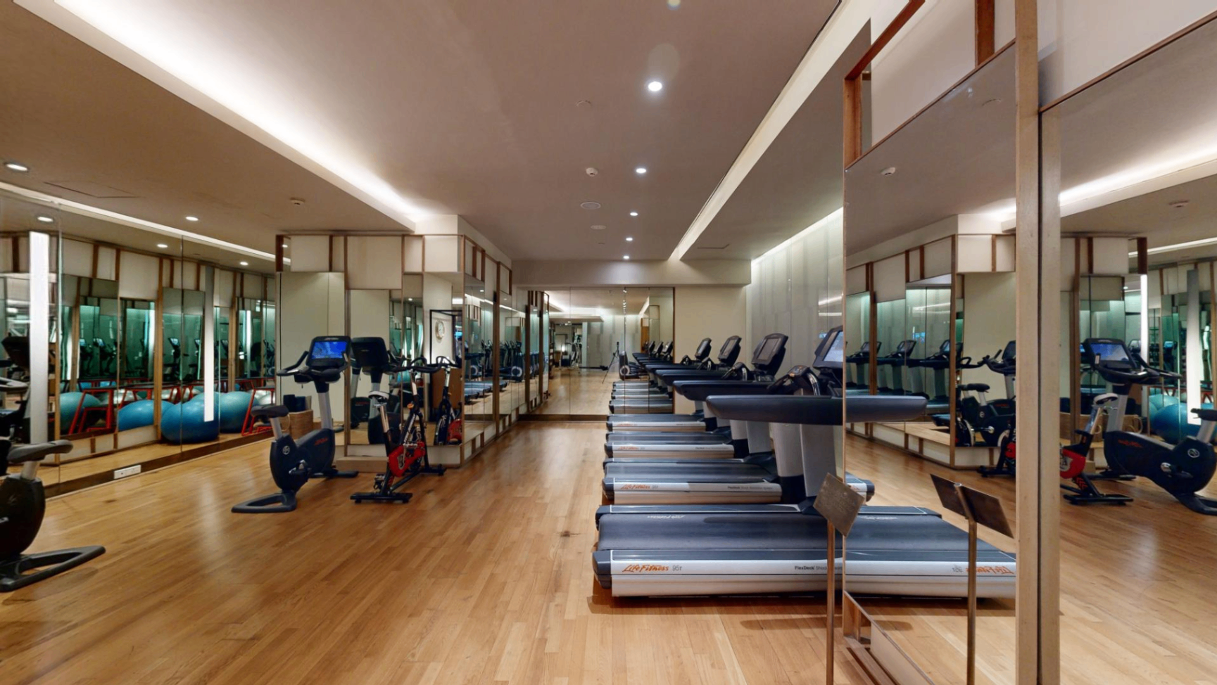 Gymnasium