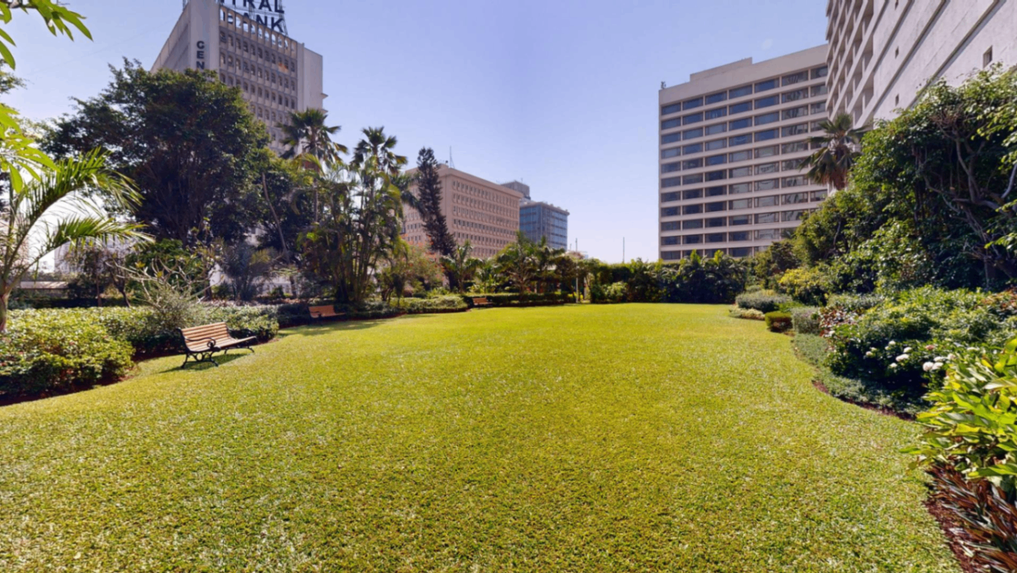 Lawn