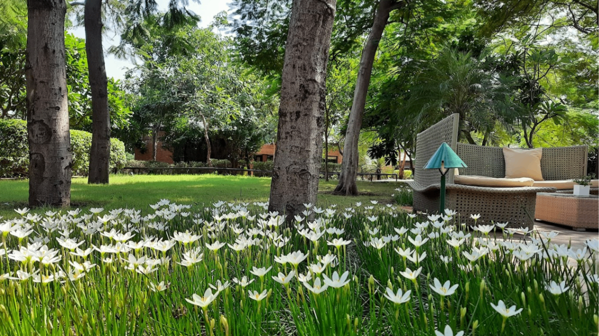 East Lawn