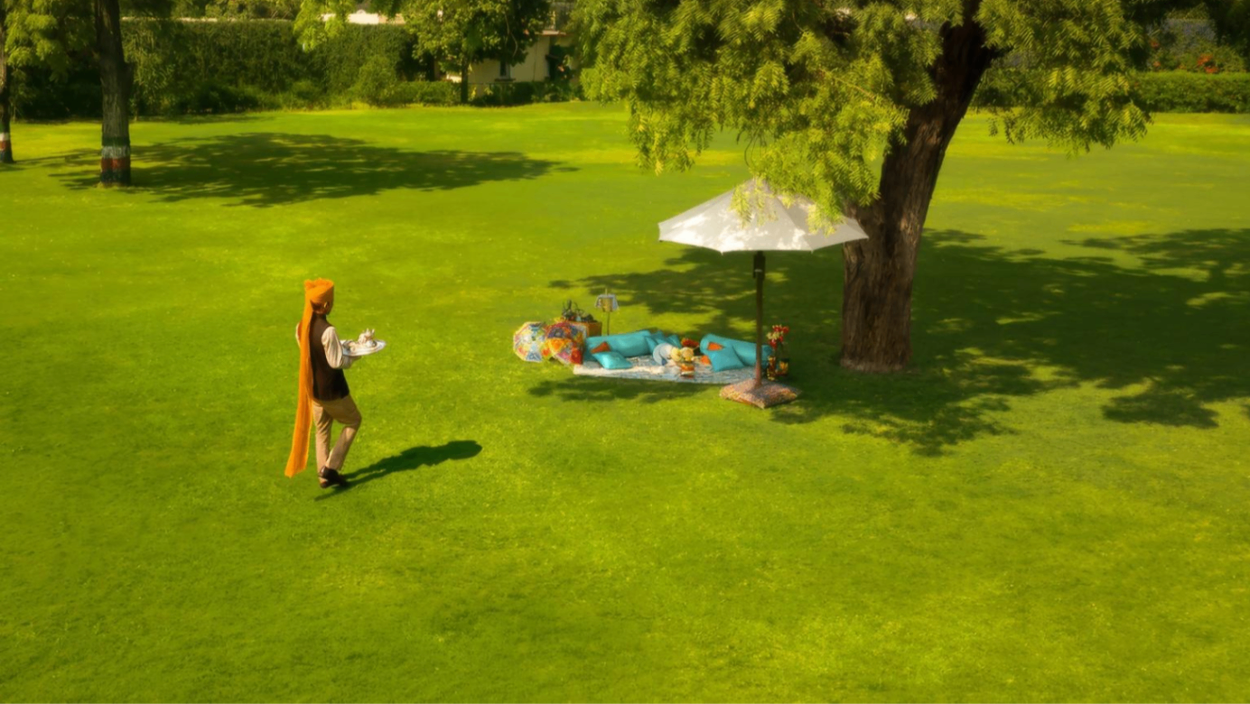 Palace Lawns