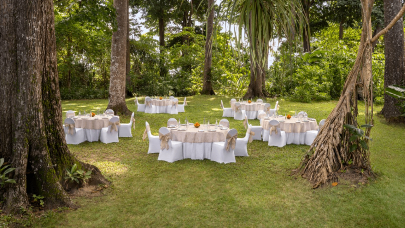 The Garden of Forest Trees