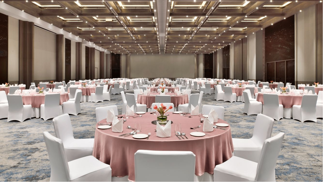 Albatross 1 + 2 + 3 + 4