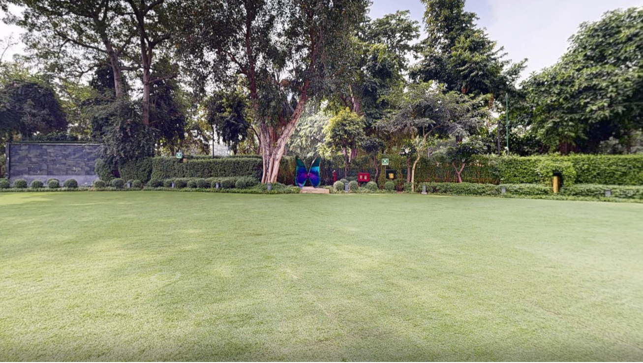 Lawn