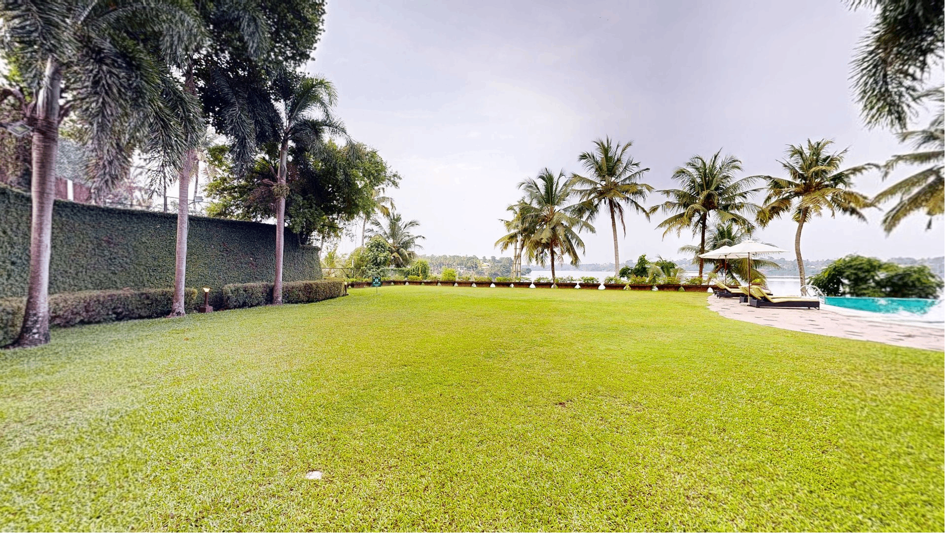 Poolside Lawn