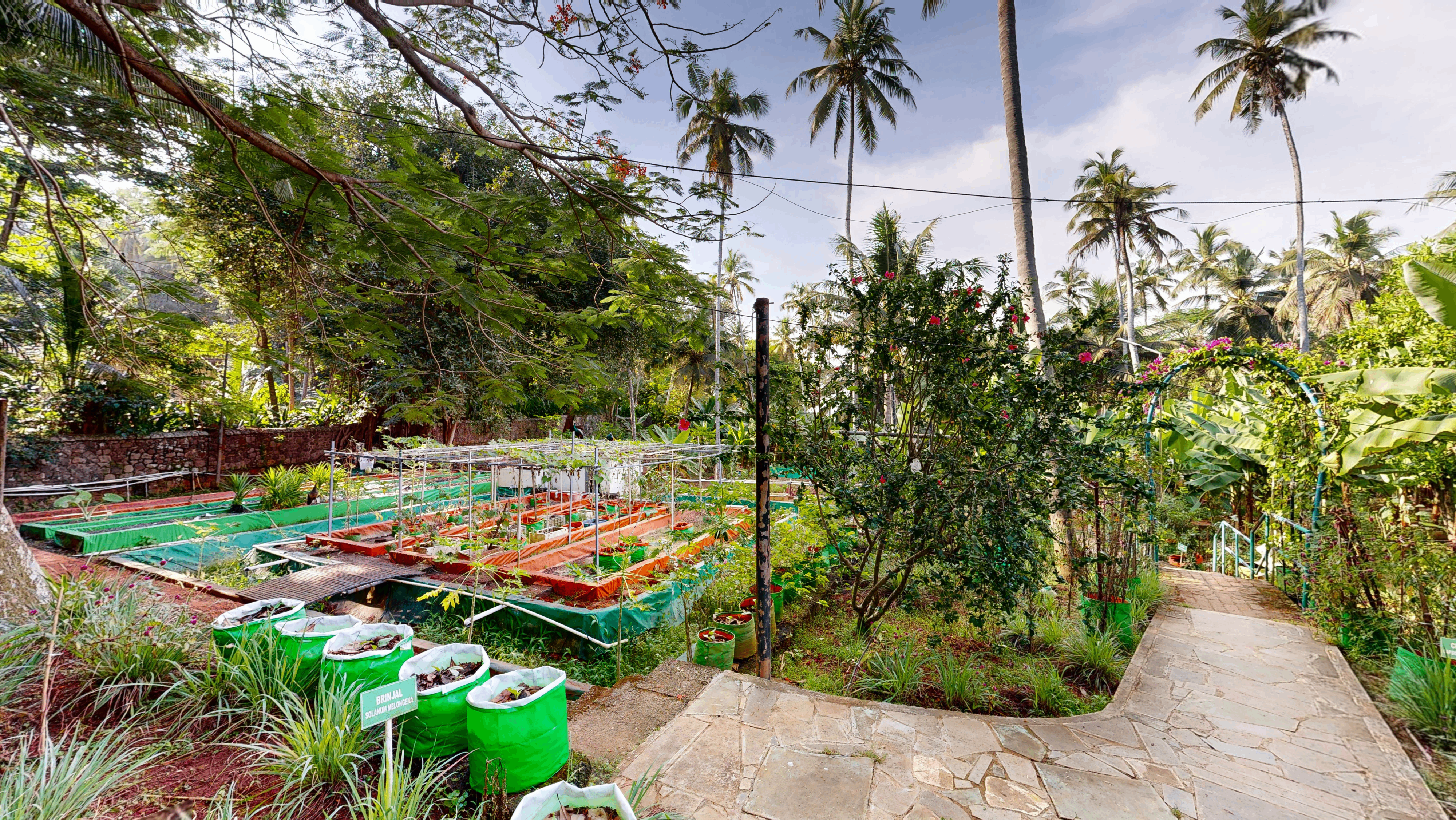 Aaramam - Organic Vegetable Garden