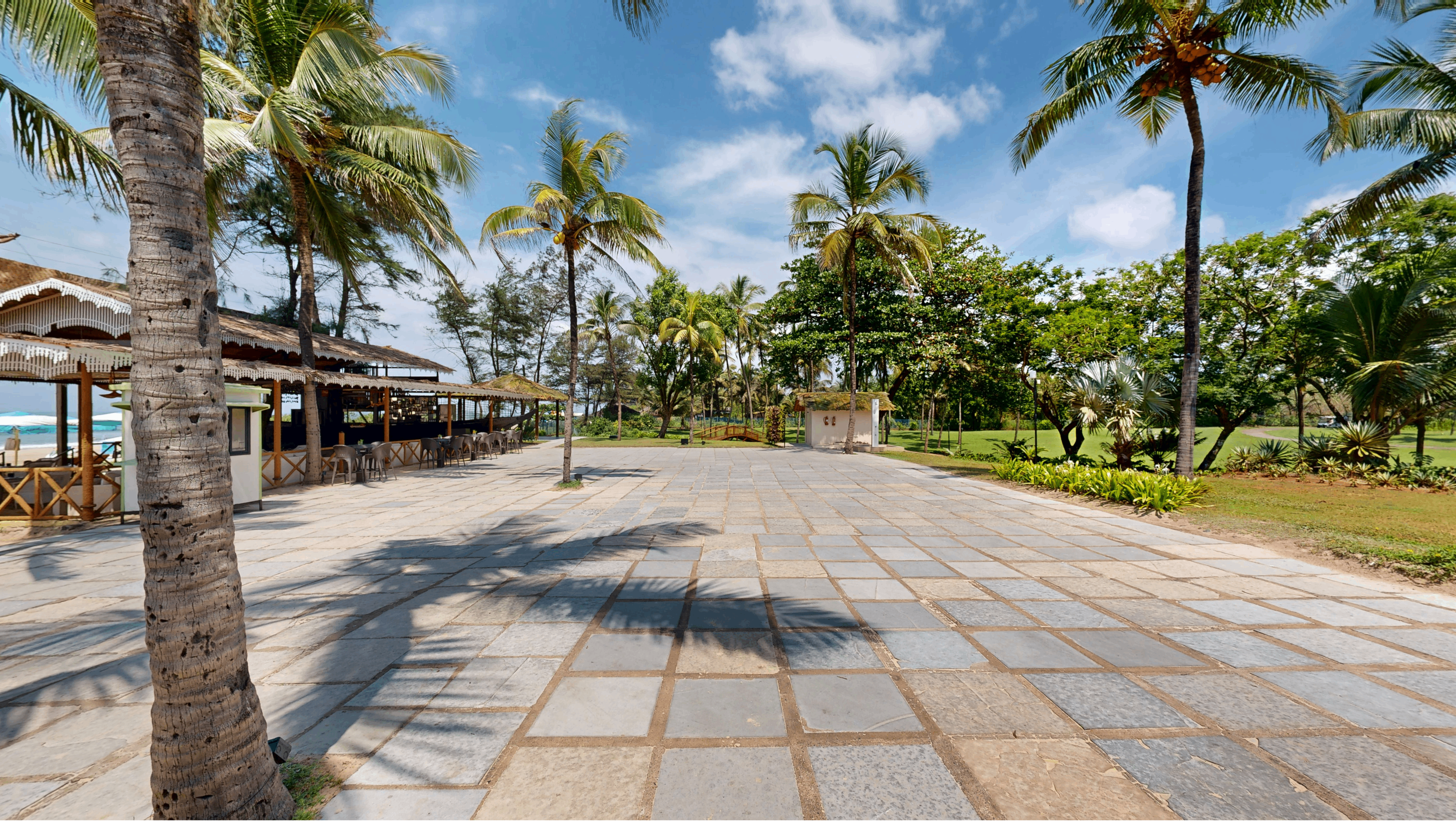 Rain Dance & Coconut Grove